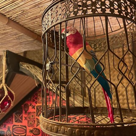 The Kondo Tiki Тампа Экстерьер фото