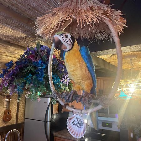 The Kondo Tiki Тампа Экстерьер фото